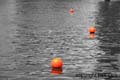 FRA_06-06-27_0025